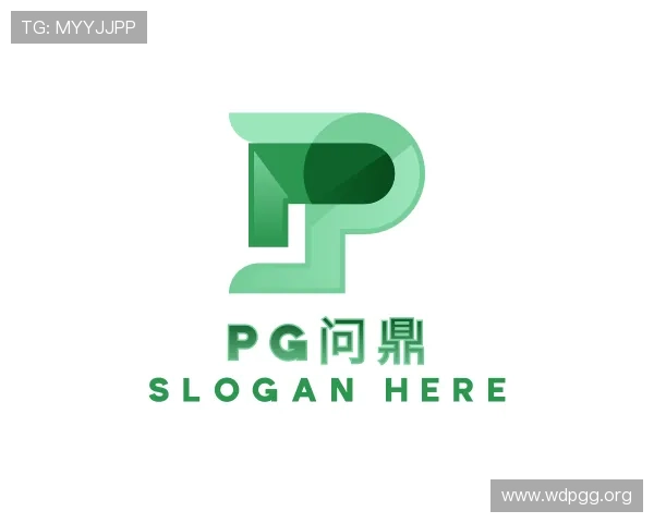 导引pg问鼎